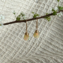 Load image into Gallery viewer, Ava Earrings | Opal