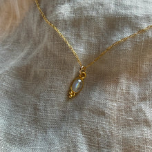 Load image into Gallery viewer, Lūma Necklace | Rainbow Moonstone &amp; Gold