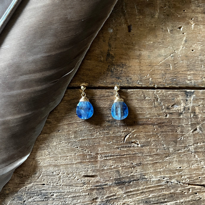 Kyanite- Linnaea Earrings
