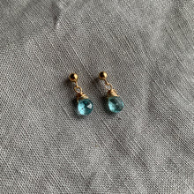 Load image into Gallery viewer, Apetite - Linnaea Earrings