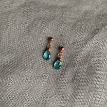 Load image into Gallery viewer, Apetite - Linnaea Earrings
